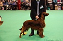 Crufts2011_2 133